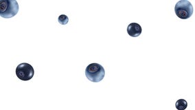Blueberry fruit falling in looping