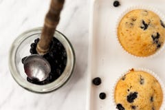 Blueberry Muffins Stock Images