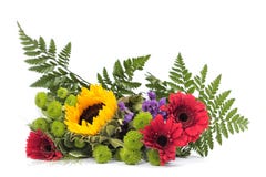 Blumen stockfotografie Blumen stockfotografie