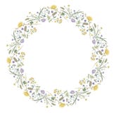 Blumen entspringen runde Rahmenmit blumennatur vektor abbildung Blumen entspringen runde Rahmenmit blumennatur vektor abbildung