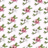 Blumenhintergrund von empfindlichen Aquarellblumen stock abbildung Blumenhintergrund von empfindlichen Aquarellblumen stock abbildung