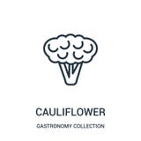 Blumenkohlikonenvektor von der Gastronomiesammlungssammlung Dünne Linie Blumenkohlentwurfsikonen-Vektorillustration lizenzfreie abbildung Blumenkohlikonenvektor von der Gastronomiesammlungssammlung Dünne Linie Blumenkohlentwurfsikonen-Vektorillustration lizenzfreie abbildung