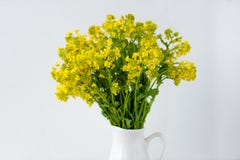 Blumenstrau? von wilden Blumen in einem Vase stockfoto Blumenstrau? von wilden Blumen in einem Vase stockfoto