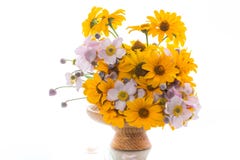 Blumenstrauß von den gelben großen Gänseblümchen lokalisiert auf Weiß Lizenzfreies Stockbild Blumenstrauß von den gelben großen Gänseblümchen lokalisiert auf Weiß Lizenzfreies Stockbild