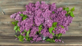 Blumenstrauß von lila Blumen auf hölzernem Hintergrund Retro- Art lizenzfreie stockfotos Blumenstrauß von lila Blumen auf hölzernem Hintergrund Retro- Art lizenzfreie stockfotos