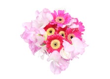 Blumenstrauß von Transvaal-Gänseblümchen und -sweetpea in einem weißen Hintergrund Lizenzfreies Stockfoto Blumenstrauß von Transvaal-Gänseblümchen und -sweetpea in einem weißen Hintergrund Lizenzfreies Stockfoto