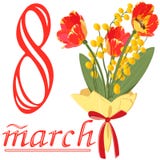 Blumenstrauß von Tulpen und von Mimose zum 8. März stock abbildung Blumenstrauß von Tulpen und von Mimose zum 8. März stock abbildung