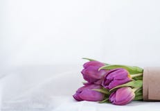 Blumenstrauß der rosafarbenen Tulpen auf einem weißen Hintergrund lizenzfreie stockfotografie Blumenstrauß der rosafarbenen Tulpen auf einem weißen Hintergrund lizenzfreie stockfotografie