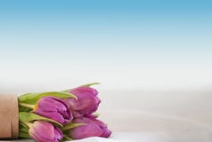 Blumenstrauß von rosa Tulpen auf einem blauen Hintergrund stockbild Blumenstrauß von rosa Tulpen auf einem blauen Hintergrund stockbild