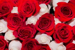Blumenstrauß von roten und weißen Rosen, das Konzept von Romanze oder Hochzeit stockbild Blumenstrauß von roten und weißen Rosen, das Konzept von Romanze oder Hochzeit stockbild