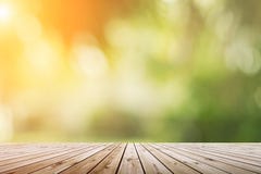 Blur green nature bokeh with sun light on copy space empty, old royalty free stock photos Blur green nature bokeh with sun light on copy space empty, old royalty free stock photos