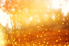 Blurred abstract photo of light burst among trees and glitter go Stock Image Blurred abstract photo of light burst among trees and glitter go Stock Image