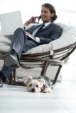Blurred image of a businessman sitting in a chair and his little pet stock photo Blurred image of a businessman sitting in a chair and his little pet stock photo