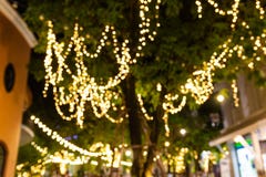 Blurred image Decorative outdoor string lights hanging on tree in the garden at night time - decorative Christmas lights