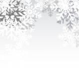 Blurred winter background for you design vector illustration Blurred winter background for you design vector illustration