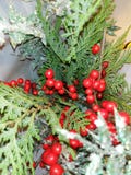 Blänker dekorativ utsmyckad gran för jul naturliga gåvor arkivbilder Blänker dekorativ utsmyckad gran för jul naturliga gåvor arkivbilder