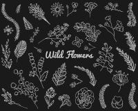 Blätter von Blumen Karikatur polar mit Herzen Nette Blumensammlung, Hand gezeichnetes Aquarell Hochzeits- oder Grußkarten Romanti stock abbildung Blätter von Blumen Karikatur polar mit Herzen Nette Blumensammlung, Hand gezeichnetes Aquarell Hochzeits- oder Grußkarten Romanti stock abbildung