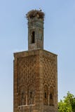 Bociana gniazdeczko nakrywa pięknego minaret przy Chellah blisko Rabat w Maroko zdjęcia stock Bociana gniazdeczko nakrywa pięknego minaret przy Chellah blisko Rabat w Maroko zdjęcia stock