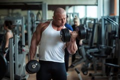Bodybuilder deals with dumbbells stock image Bodybuilder deals with dumbbells stock image