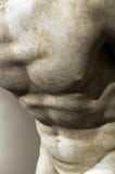Bodybuilding royalty free stock photos Bodybuilding royalty free stock photos