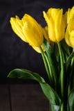 Boeket van mooie verse gele tulpen in dauw op donkere achtergrond stock foto Boeket van mooie verse gele tulpen in dauw op donkere achtergrond stock foto
