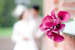 Boeket van roze callas royalty-vrije stock afbeelding Boeket van roze callas royalty-vrije stock afbeelding