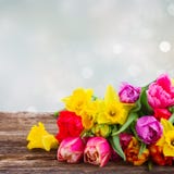 Boeket van tulpen en gele narcissen stock afbeelding Boeket van tulpen en gele narcissen stock afbeelding