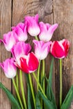Boeket van verschillende kleurentulpen stock fotografie Boeket van verschillende kleurentulpen stock fotografie