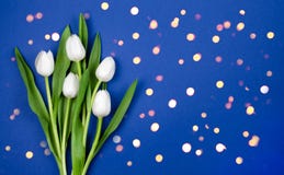 Boeket van witte tulpen op een donkerblauwe achtergrond Deze kaart is geschikt voor een mens stock foto's Boeket van witte tulpen op een donkerblauwe achtergrond Deze kaart is geschikt voor een mens stock foto's
