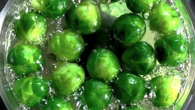 Boiled brussels sprouts with water on metal pan royalty free stock photography Boiled brussels sprouts with water on metal pan royalty free stock photography