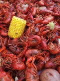 Boiled Crawfish Royalty Free Stock Image Boiled Crawfish Royalty Free Stock Image
