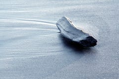 Bois de flottage sur une plage photographie stock Bois de flottage sur une plage photographie stock