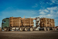 Bois de papeterie de transport de camion vert au cargo dans le port Jeunes adultes Fin vers le haut Copiez l'espace photos stock Bois de papeterie de transport de camion vert au cargo dans le port Jeunes adultes Fin vers le haut Copiez l'espace photos stock