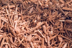 Bois de santal sec