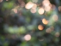 Bokeh abstrato das luzes do fundo foto de stock royalty free Bokeh abstrato das luzes do fundo foto de stock royalty free