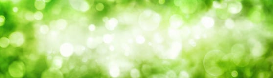 Bokeh verde del follaje con puntos culminantes que rielan imagenes de archivo Bokeh verde del follaje con puntos culminantes que rielan imagenes de archivo