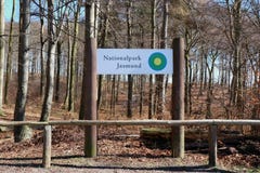 Bokträdskog av den Jasmund nationalparken på den Rugen ön germany royaltyfria foton Bokträdskog av den Jasmund nationalparken på den Rugen ön germany royaltyfria foton