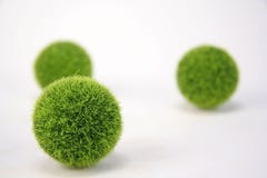 Bolas verdes borrosas Imágenes de archivo libres de regalías Bolas verdes borrosas Imágenes de archivo libres de regalías