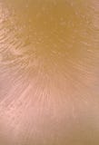 Bolle bloccate in un cubetto di ghiaccio freddo fotografie stock libere da diritti Bolle bloccate in un cubetto di ghiaccio freddo fotografie stock libere da diritti