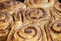 Bolos de canela macro imagens de stock royalty free Bolos de canela macro imagens de stock royalty free