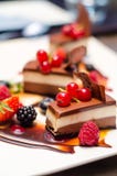 Bolos de chocolate triplos deliciosos fotografia de stock royalty free Bolos de chocolate triplos deliciosos fotografia de stock royalty free