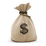 Bolso con los dólares del dinero