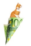 Bolso de los billetes fuera de cientos euros con el gato rojo dentro fotografía de archivo Bolso de los billetes fuera de cientos euros con el gato rojo dentro fotografía de archivo