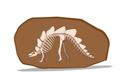 Bone of Stegosauras in clay fossil, vector vector illustration Bone of Stegosauras in clay fossil, vector vector illustration