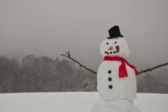 Boneco de neve fotos de stock Boneco de neve fotos de stock