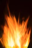 bonfire imagens de stock bonfire imagens de stock
