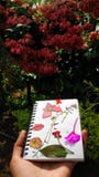 Bonheur de nature photographie stock libre de droits Bonheur de nature photographie stock libre de droits