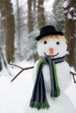 Bonhomme de neige de plan rapproché photos stock Bonhomme de neige de plan rapproché photos stock