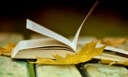 Book and autumn leaves stock photo Book and autumn leaves stock photo
