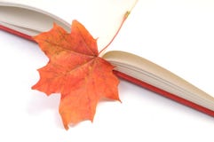Book Wih Autumn Leaves Royalty Free Stock Photo
